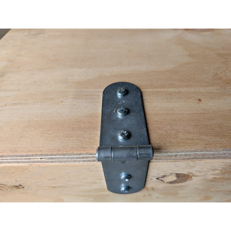 Caisse contreplaqué avec couvercle sur charnière